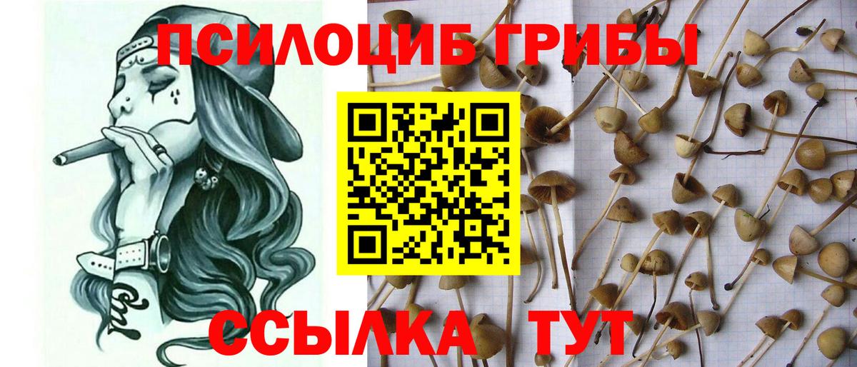 Воркута  Псилоцибиновые грибы Psilocybine cubensis  Галлюциногенные грибы MAGIC MUSHROOMS  Вход с VPN 