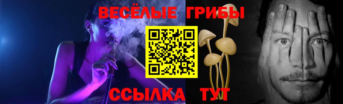 Галлюциногенные грибы Psilocybe Воркута